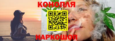 спайс Гай