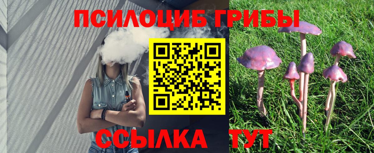 Муром  Псилоцибиновые грибы прущие грибы  Галлюциногенные грибы Psilocybe  Вход с VPN 