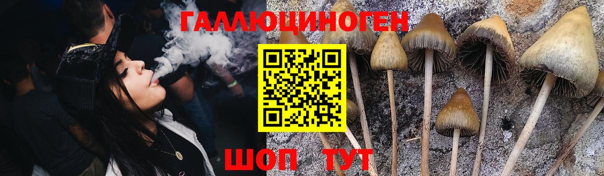 Псилоцибиновые грибы Magic Shrooms Муром